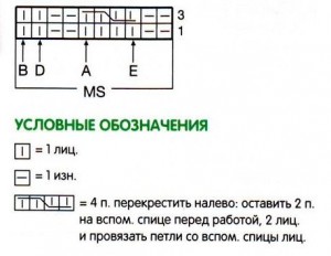 schema